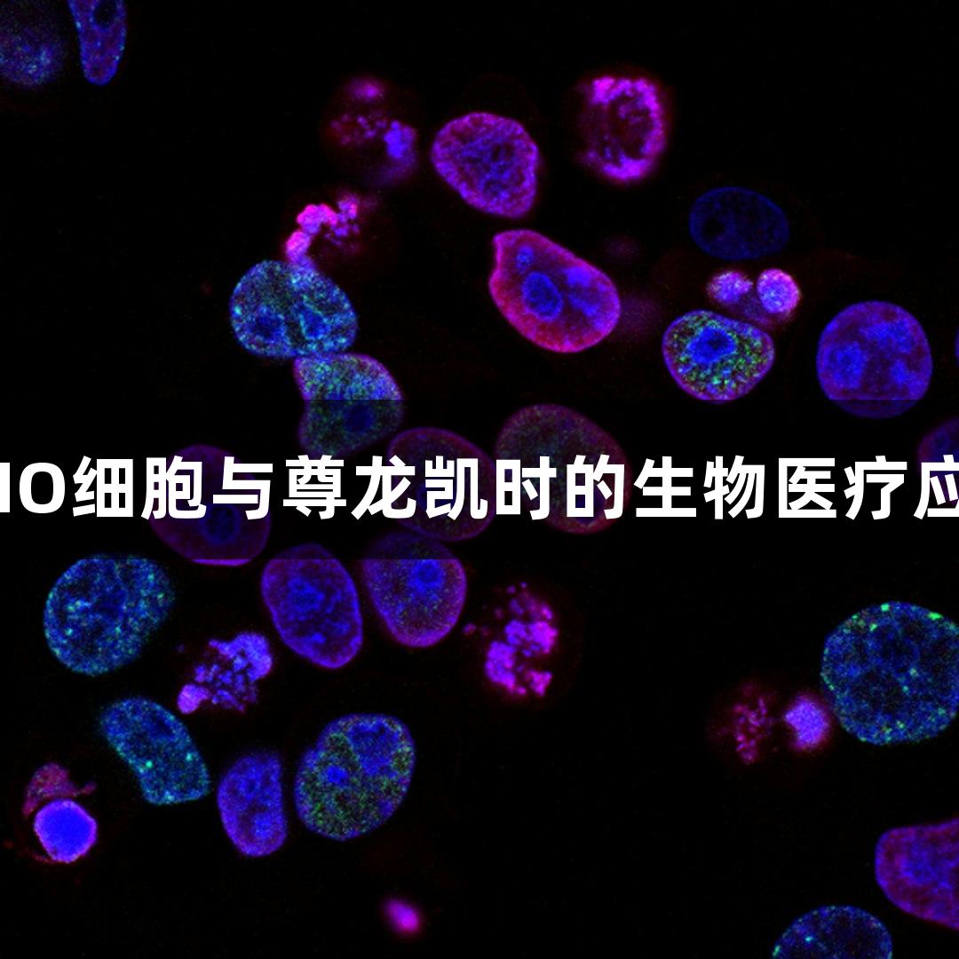 CHO细胞与尊龙凯时的生物医疗应用
