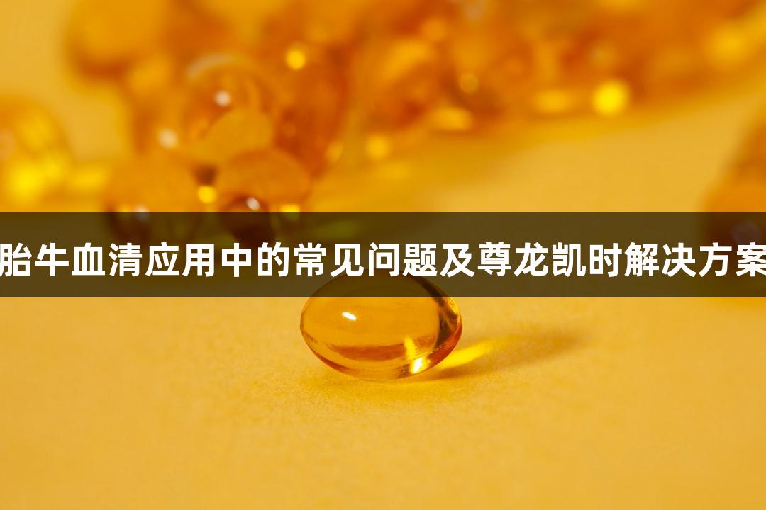 胎牛血清应用中的常见问题及尊龙凯时解决方案
