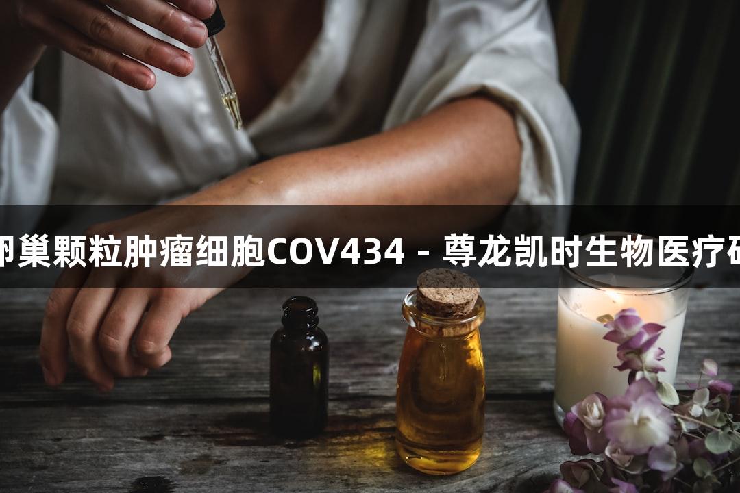 人卵巢颗粒肿瘤细胞COV434 - 尊龙凯时生物医疗研究