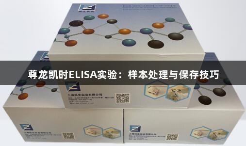 尊龙凯时ELISA实验：样本处理与保存技巧