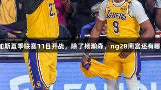 拉斯维加斯夏季联赛11日开战，除了杨瀚森，ng28南宫还有哪些看点？