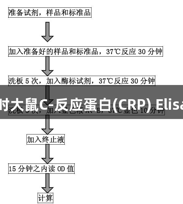尊龙凯时大鼠C-反应蛋白(CRP) Elisa试剂盒