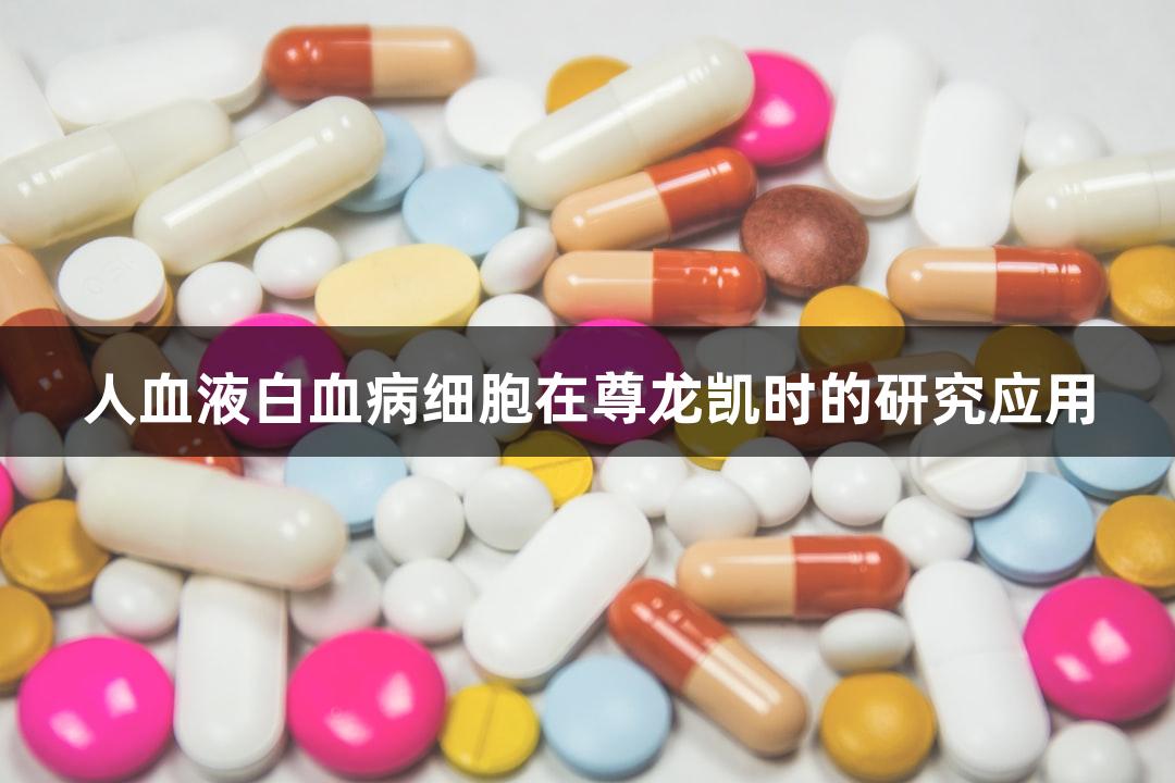人血液白血病细胞在尊龙凯时的研究应用