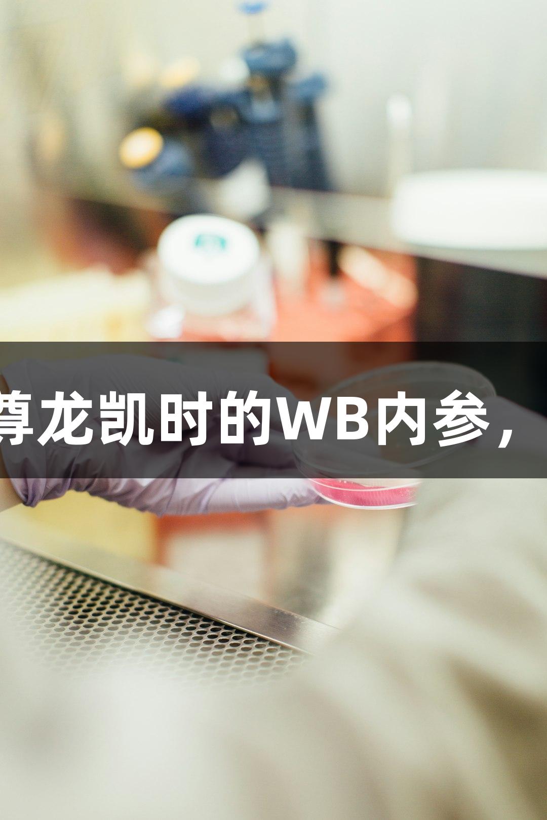 如何选择尊龙凯时的WB内参，避免踩雷！