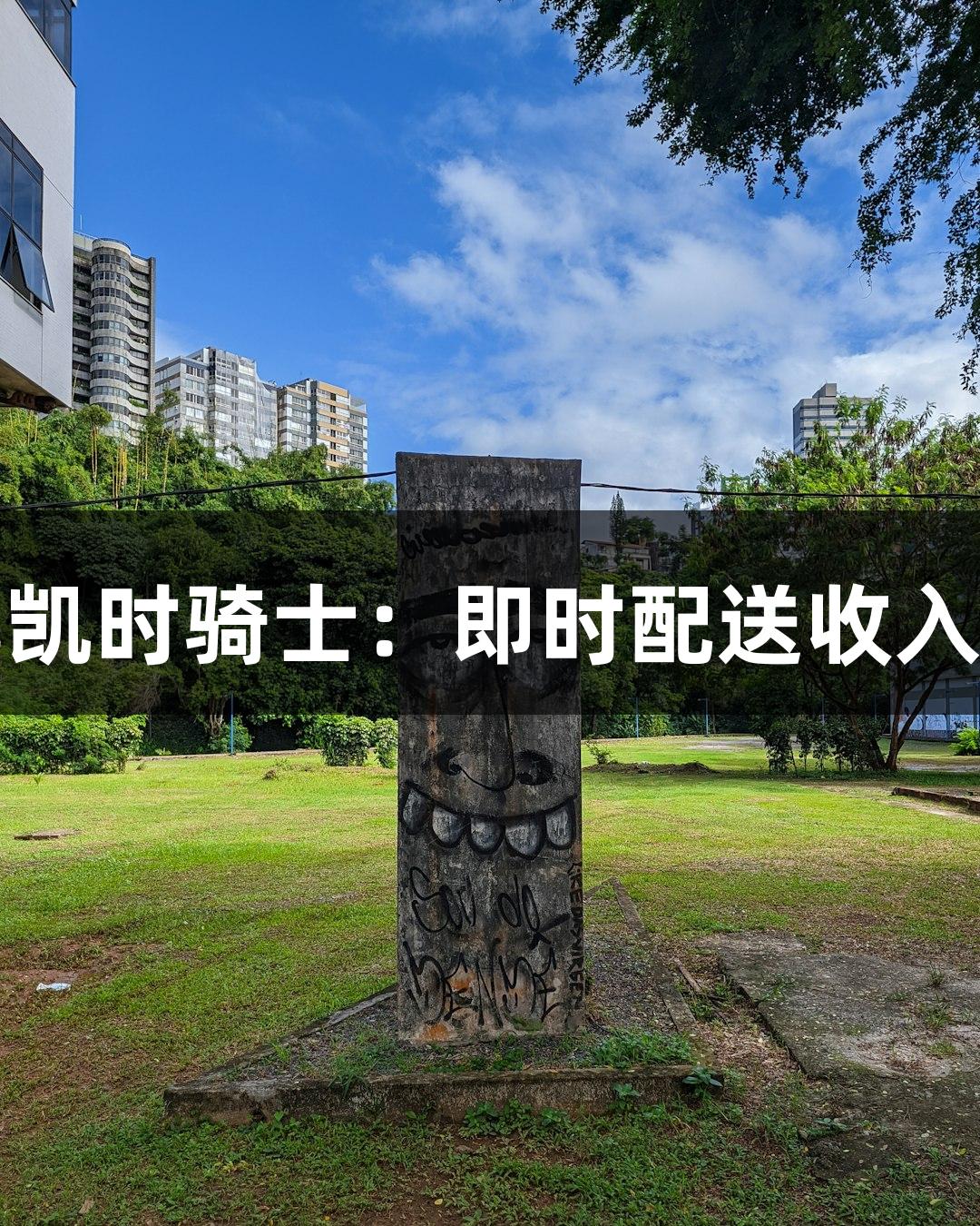 尊龙凯时骑士：即时配送收入揭秘