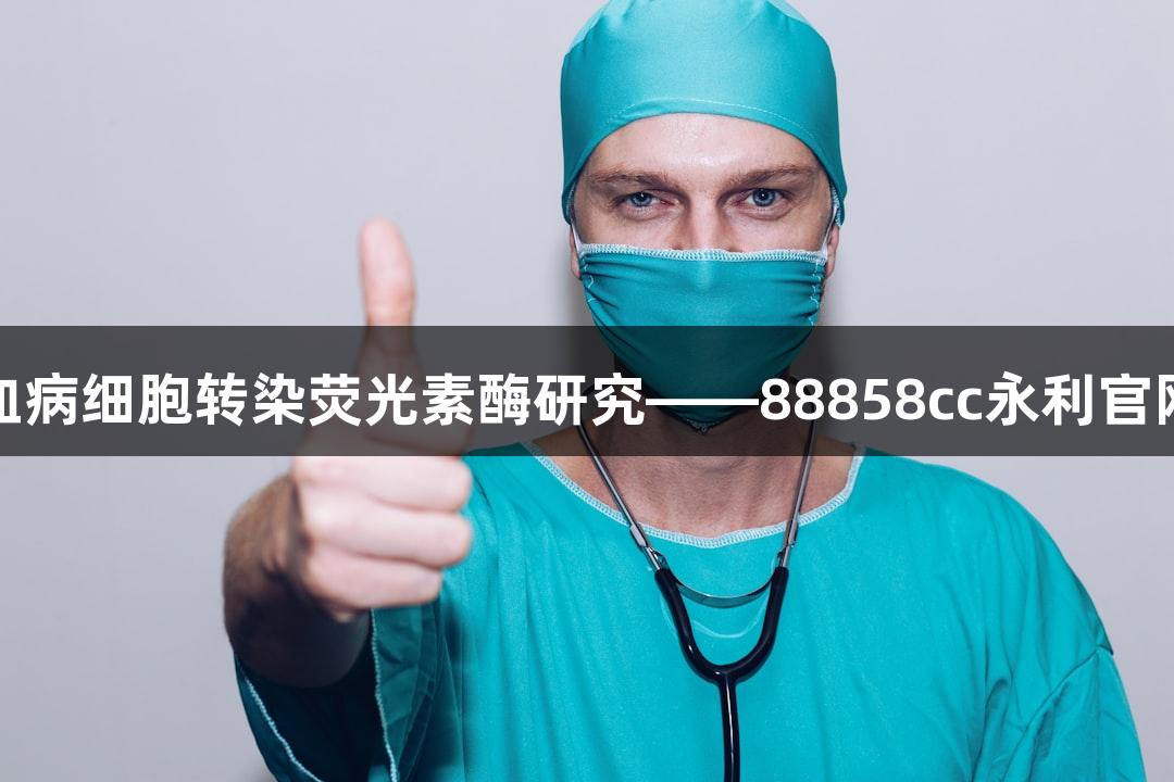 人慢性髓系白血病细胞转染荧光素酶研究——88858cc永利官网探索前沿技术