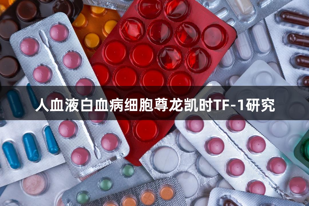 人血液白血病细胞尊龙凯时TF-1研究