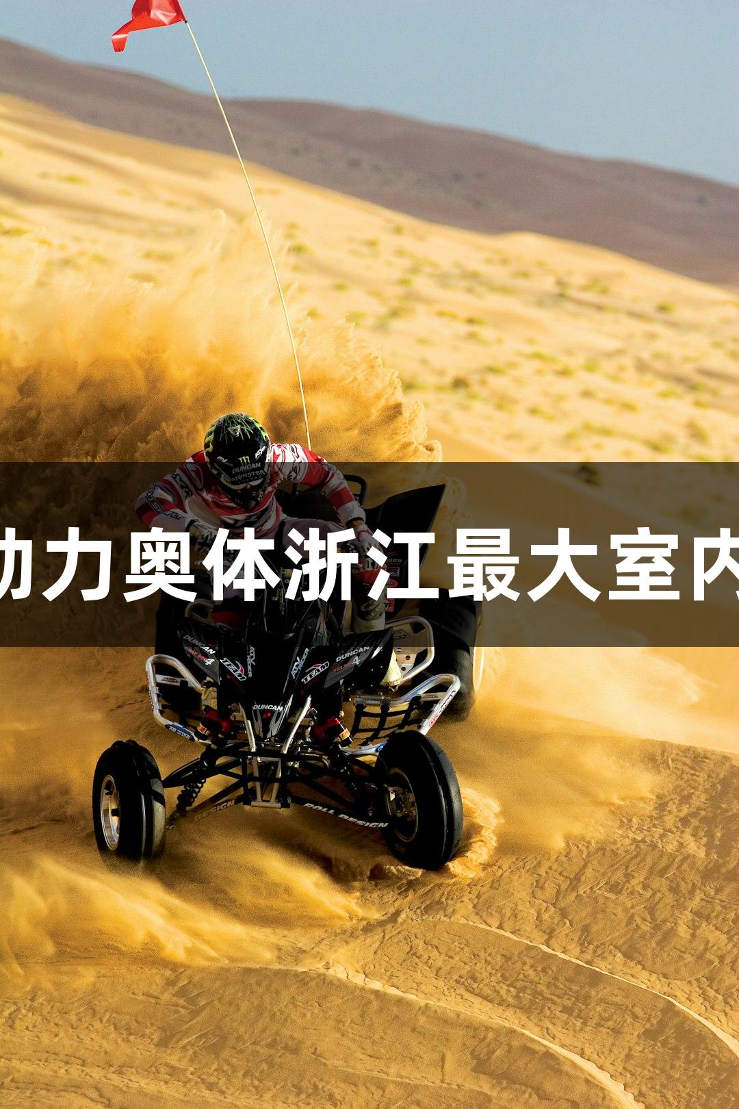 Z6·尊龙凯时助力奥体浙江最大室内匹克球馆启用