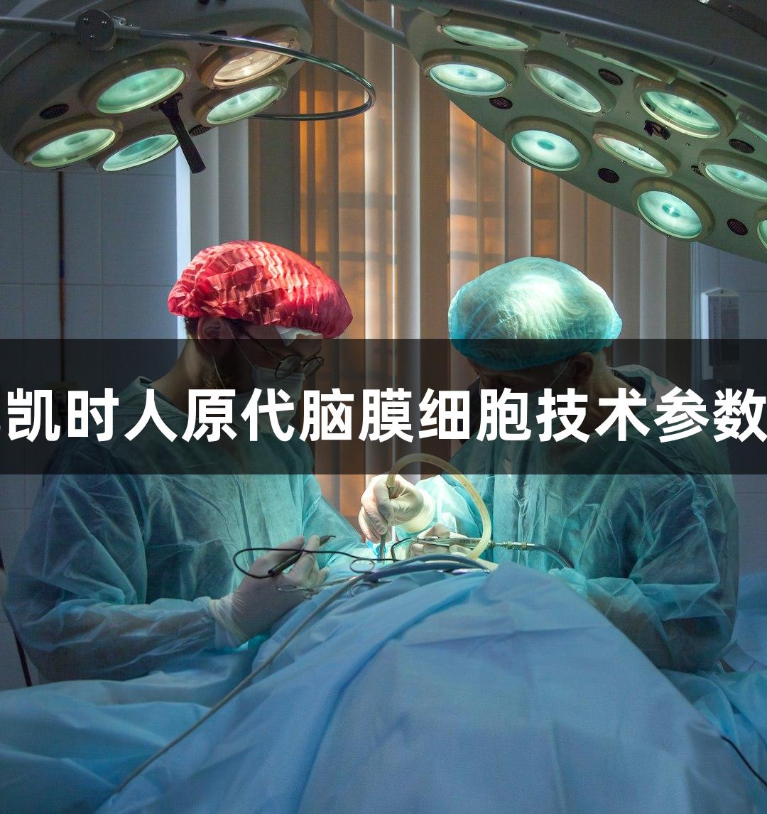 尊龙凯时人原代脑膜细胞技术参数解析