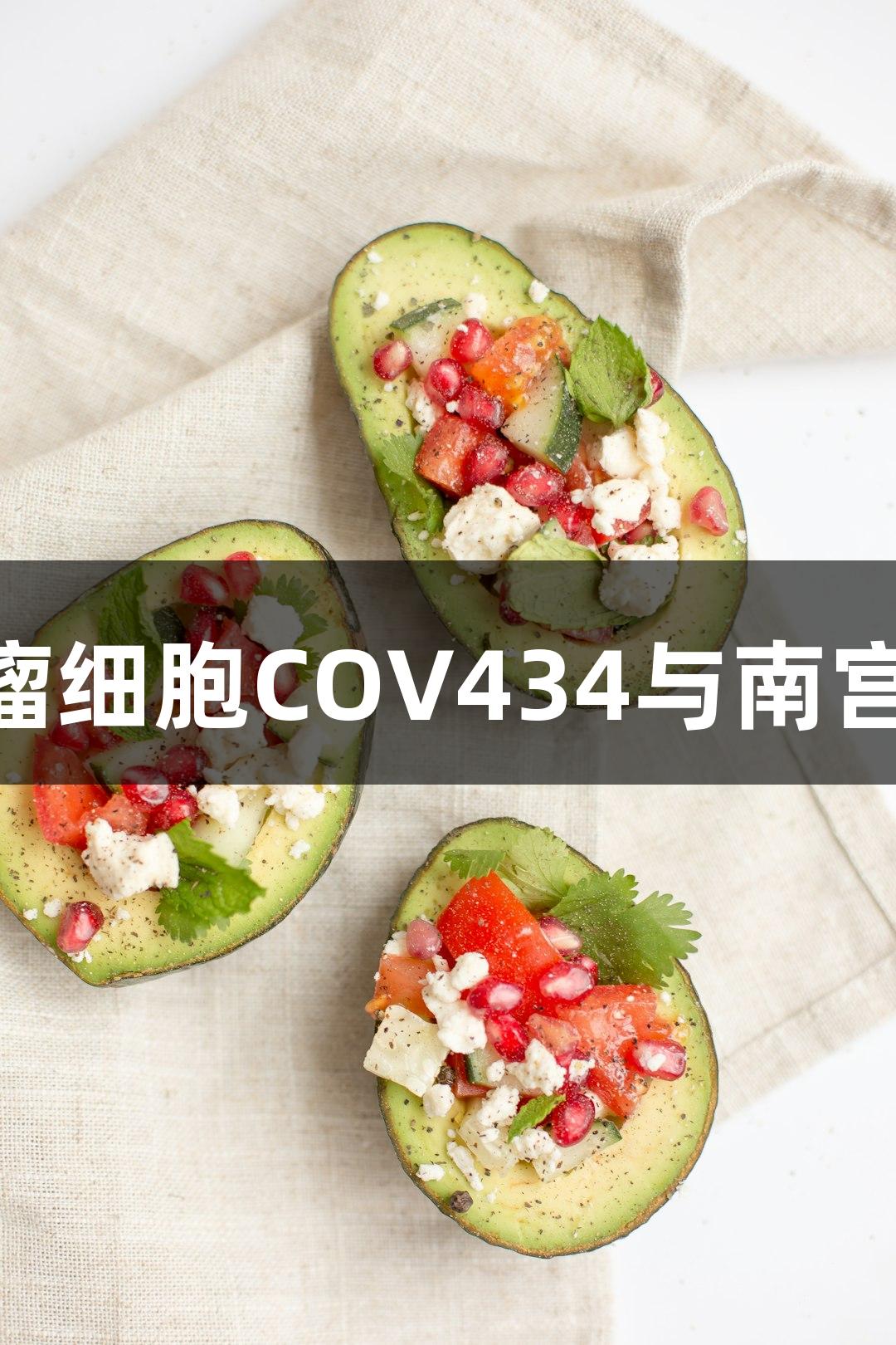 人卵巢颗粒肿瘤细胞COV434与南宫28品牌的研究