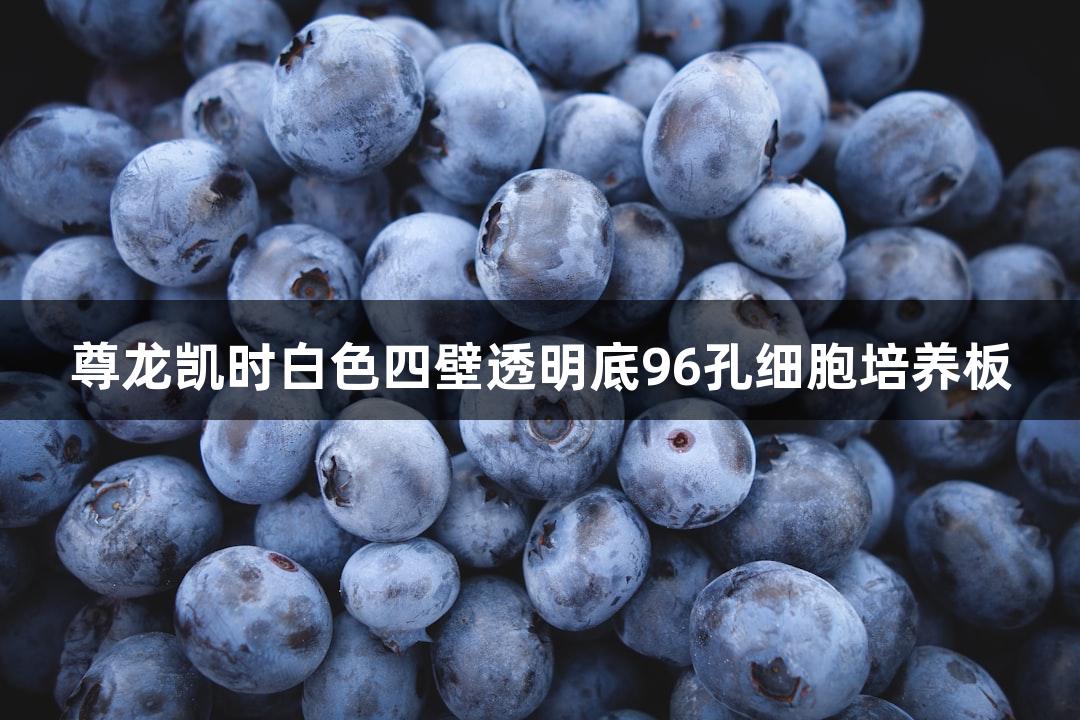 尊龙凯时白色四壁透明底96孔细胞培养板