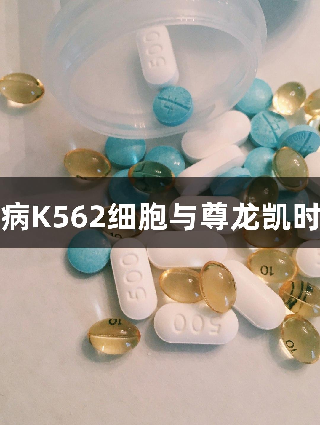 人慢性髓系白血病K562细胞与尊龙凯时的生物医疗研究