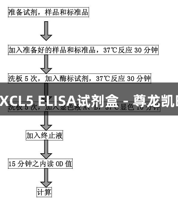 大鼠CXCL5 ELISA试剂盒 - 尊龙凯时品牌