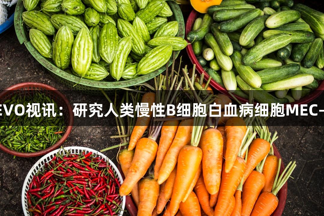 EVO视讯：研究人类慢性B细胞白血病细胞MEC-1
