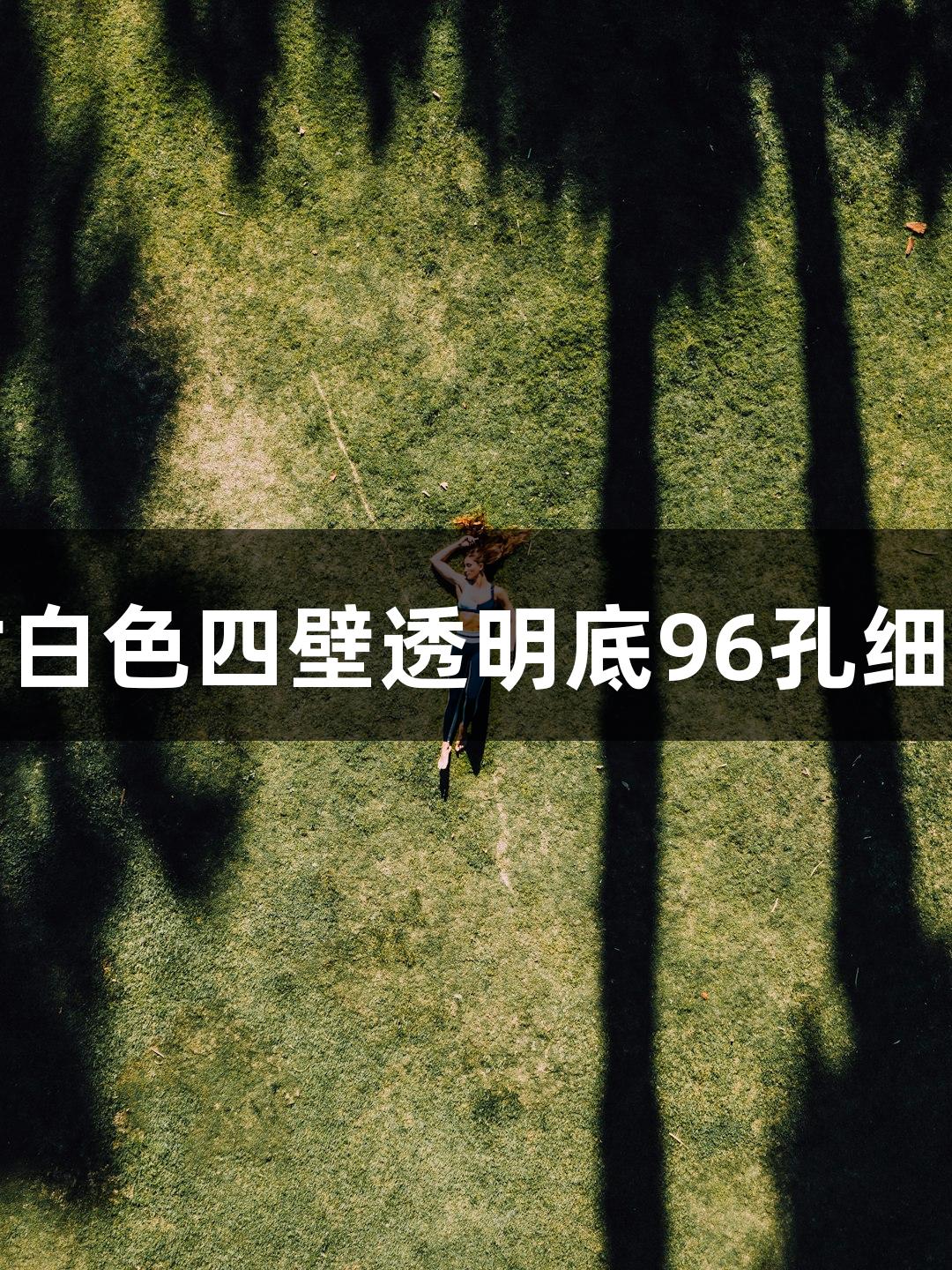 尊龙凯时白色四壁透明底96孔细胞培养板