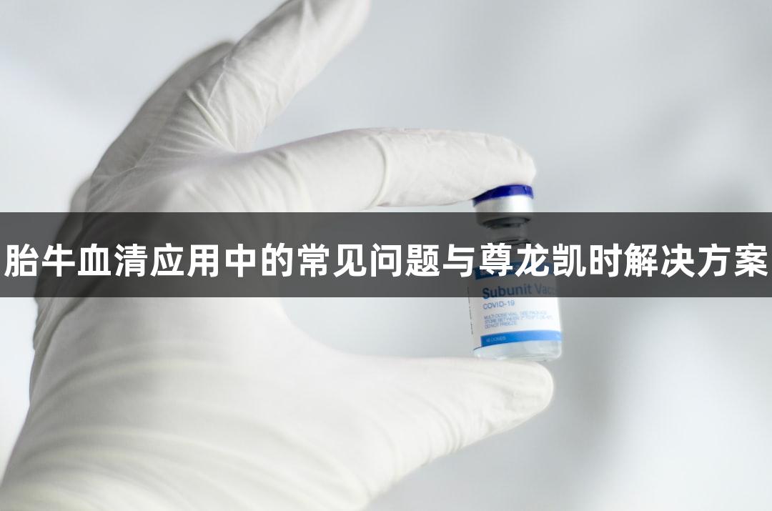 胎牛血清应用中的常见问题与尊龙凯时解决方案