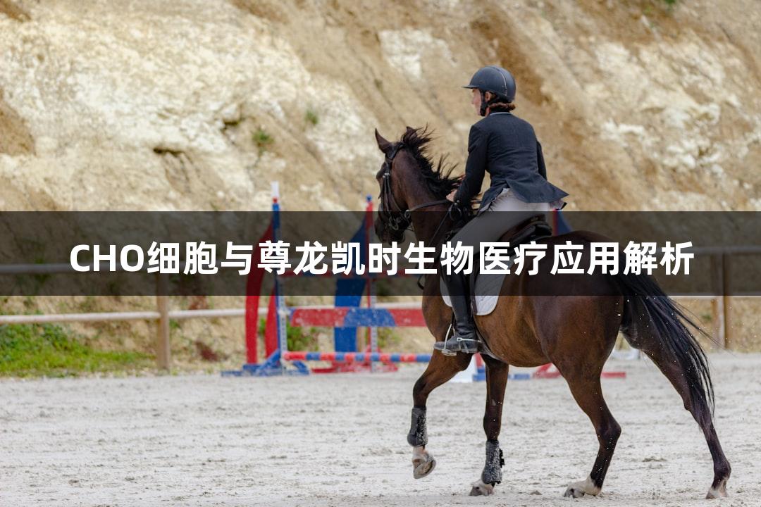 CHO细胞与尊龙凯时生物医疗应用解析