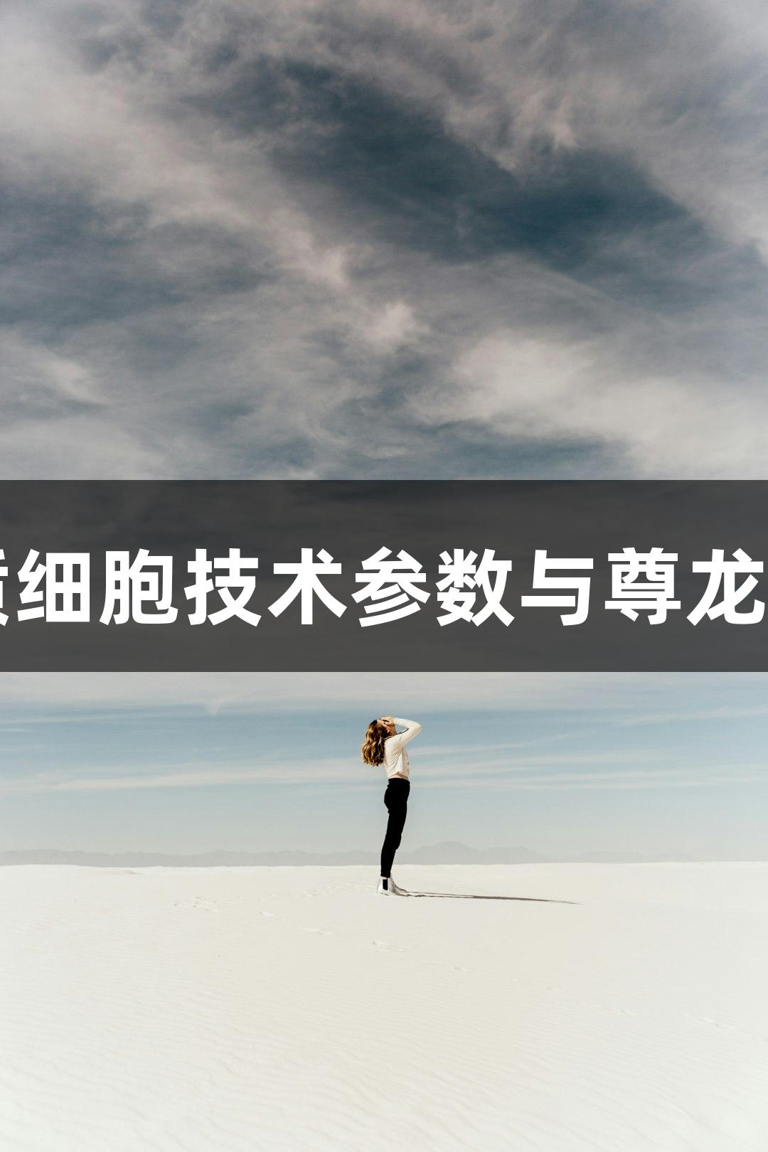 人原代星形胶质细胞技术参数与尊龙凯时品牌的应用