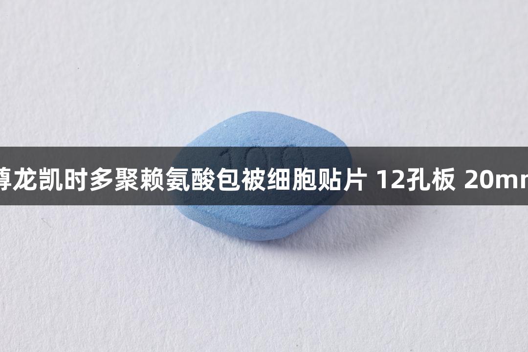 尊龙凯时多聚赖氨酸包被细胞贴片 12孔板 20mm