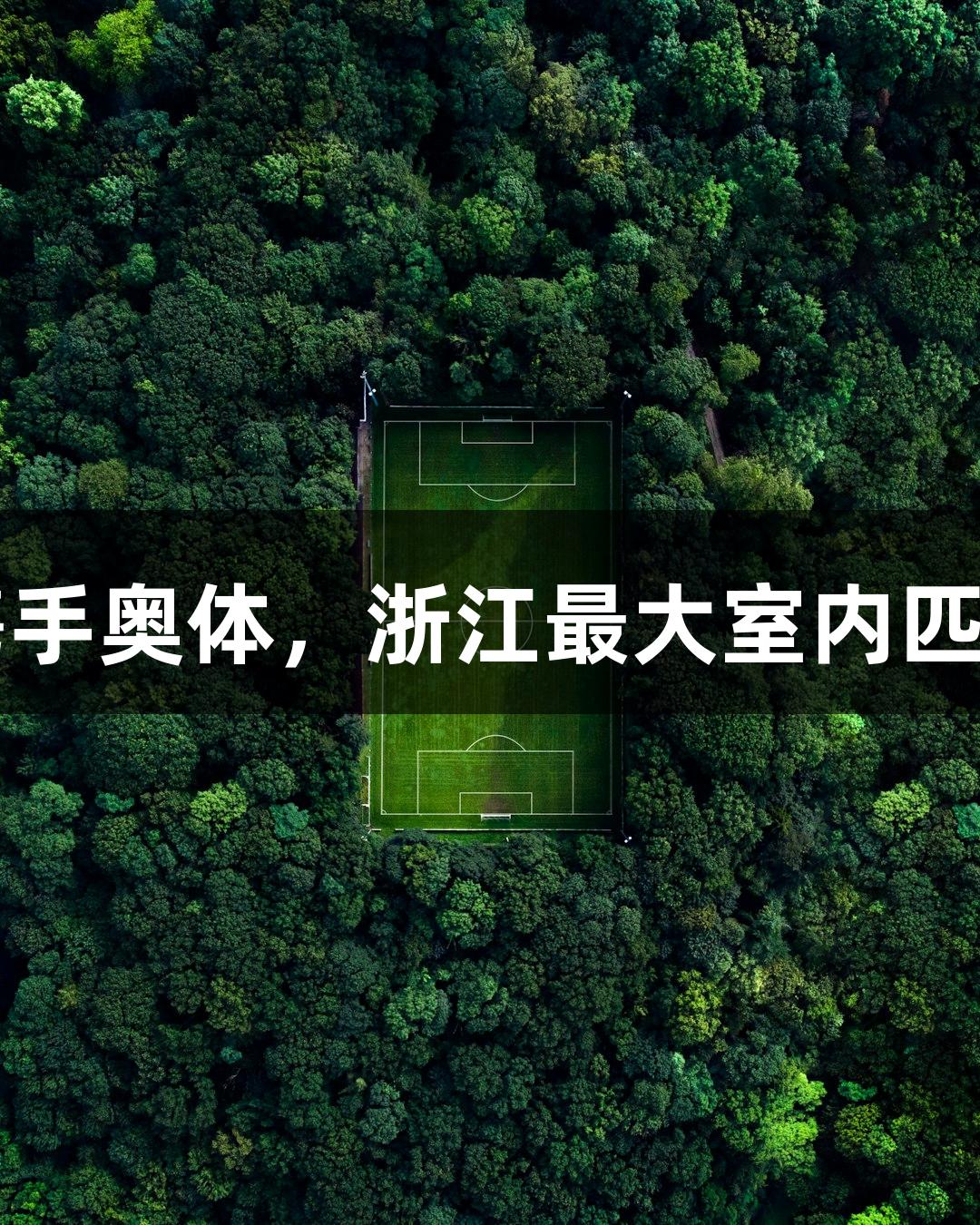 尊龙凯时携手奥体，浙江最大室内匹克球馆启用