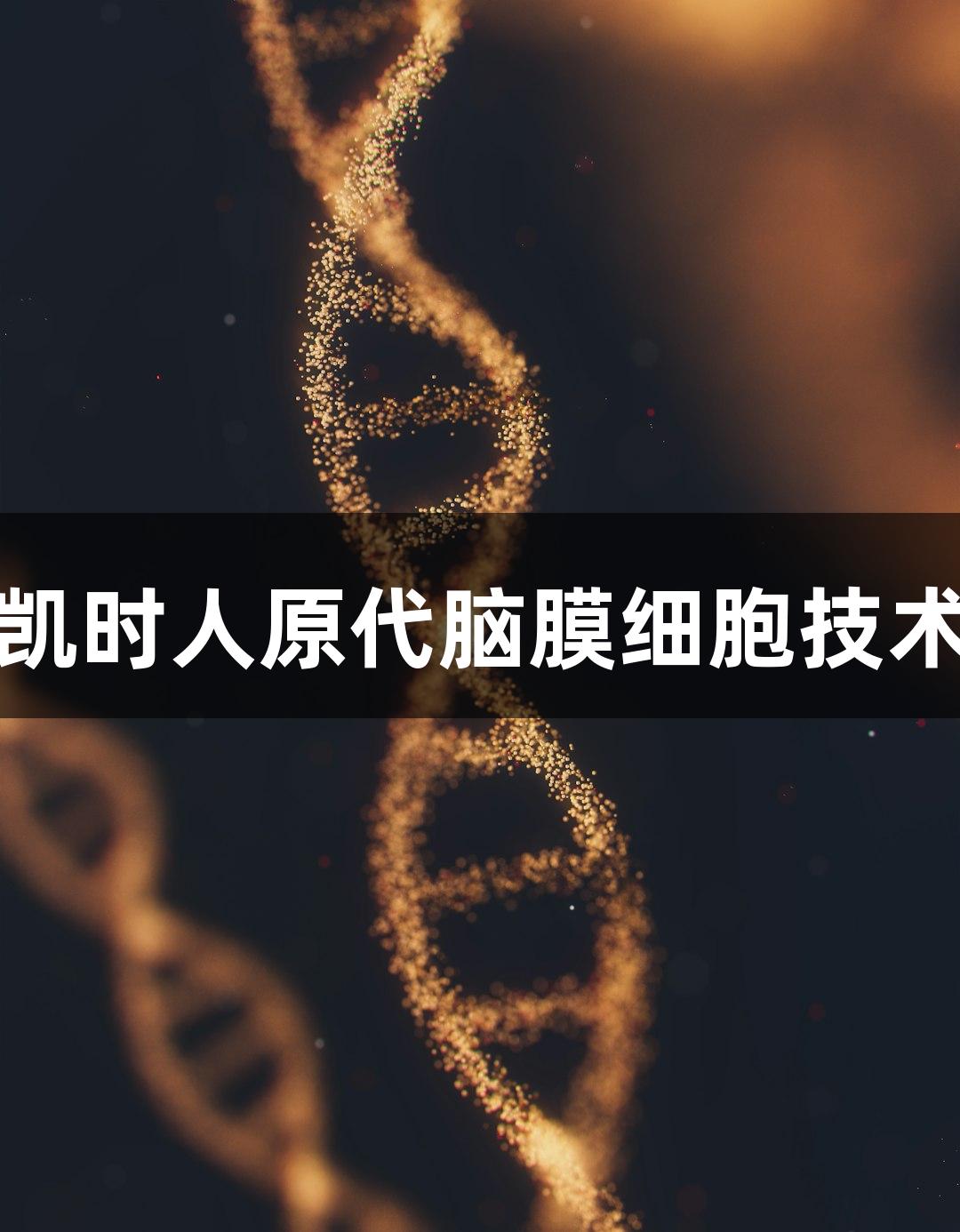 尊龙凯时人原代脑膜细胞技术参数