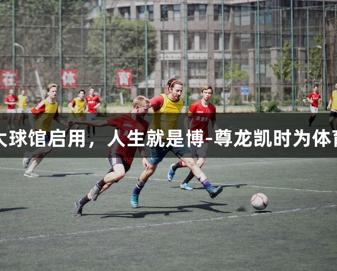 浙江最大球馆启用，人生就是博-尊龙凯时为体育添动力