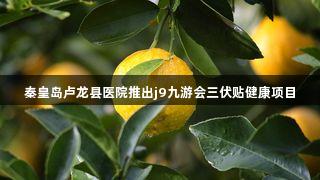 秦皇岛卢龙县医院推出j9九游会三伏贴健康项目