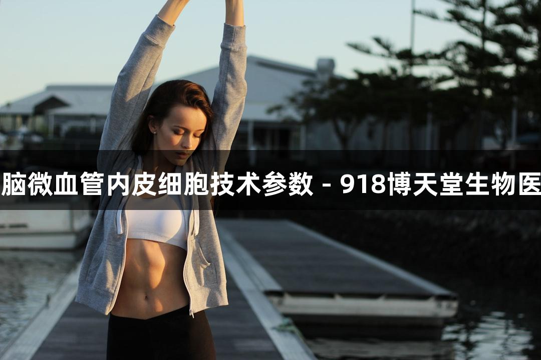 人原代脑微血管内皮细胞技术参数 - 918博天堂生物医疗解读