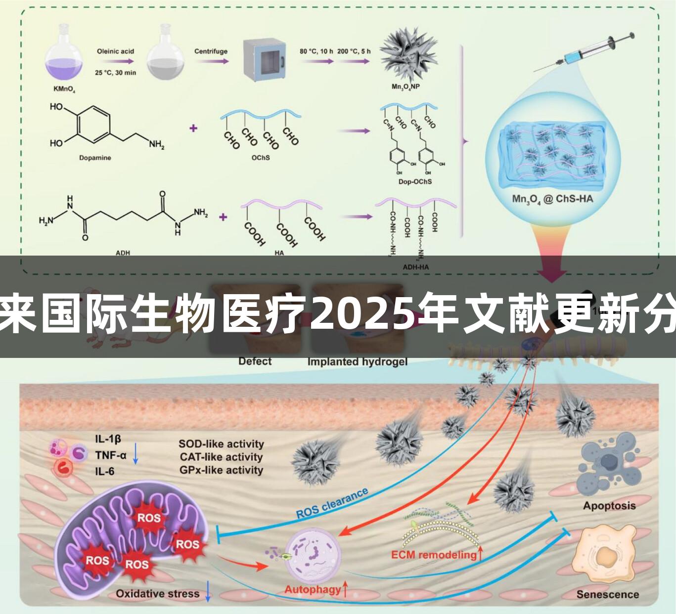 利来国际生物医疗2025年文献更新分享