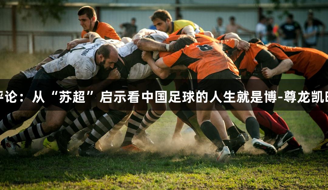东湖评论：从“苏超”启示看中国足球的人生就是博-尊龙凯时之路