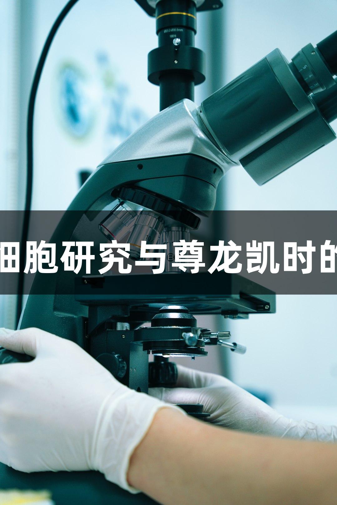 小鼠肺泡巨噬细胞研究与尊龙凯时的生物医疗创新
