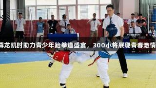 尊龙凯时助力青少年跆拳道盛宴，300小将展现青春激情！