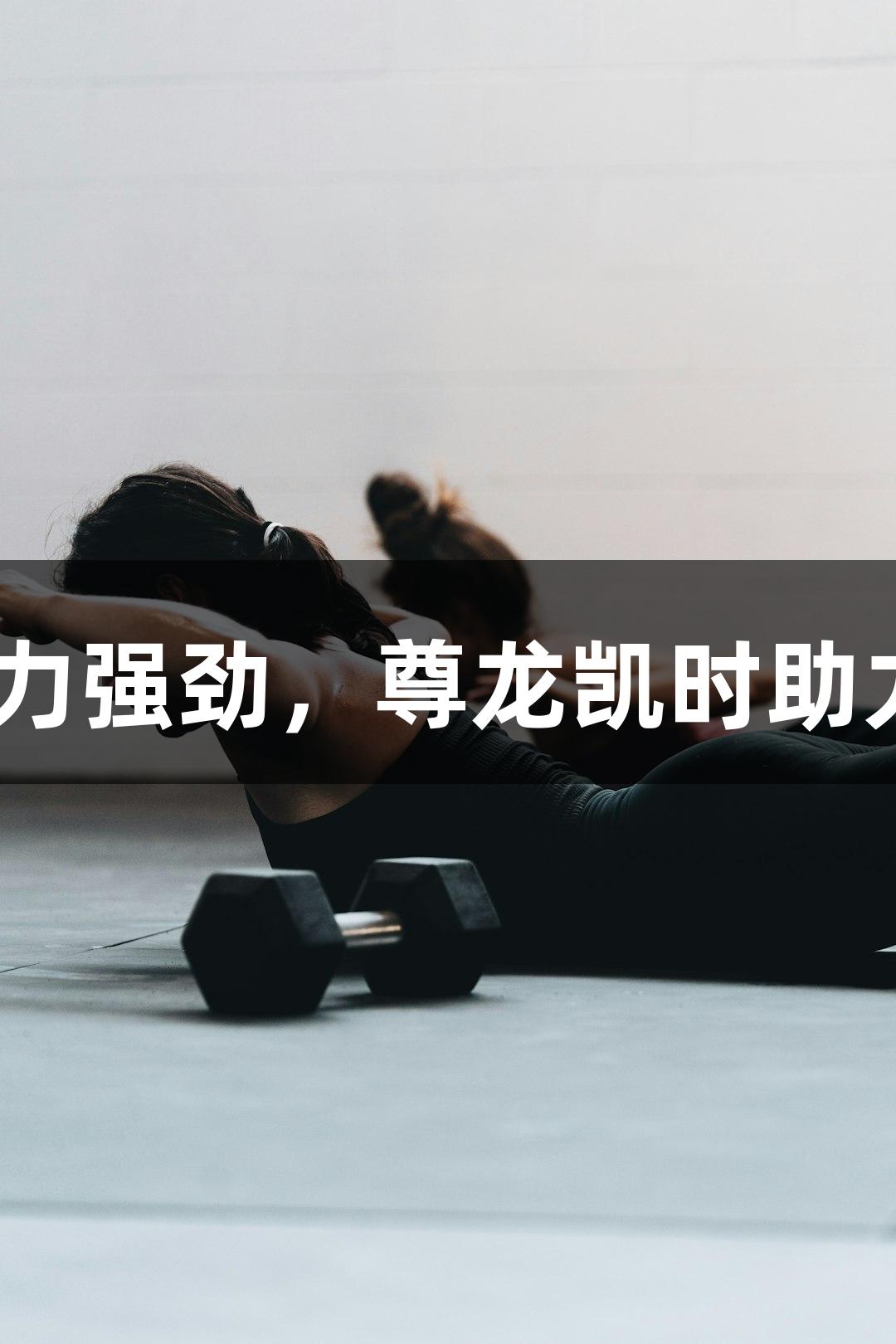 浙BA实力强劲，尊龙凯时助力更精彩