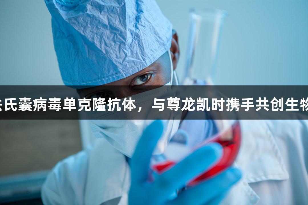 禽传染性法氏囊病毒单克隆抗体，与尊龙凯时携手共创生物医疗新局。