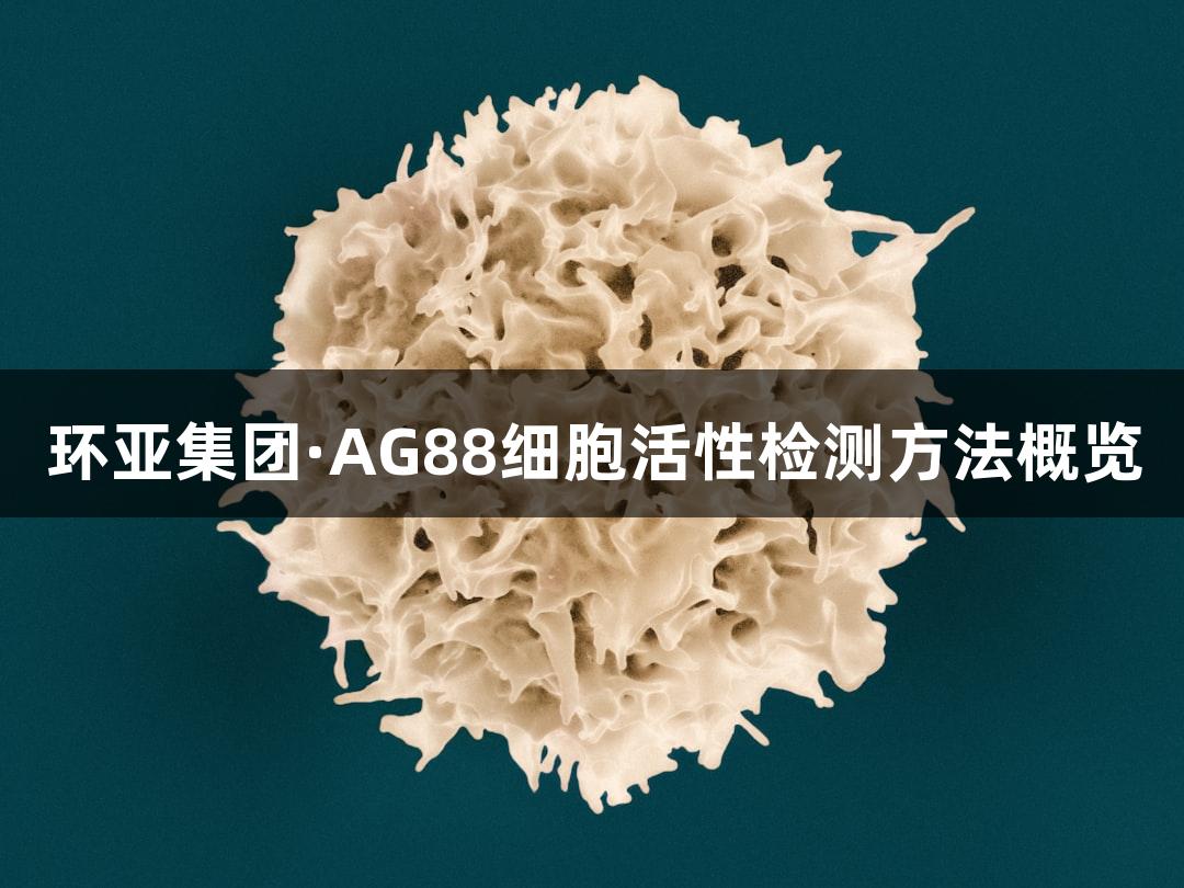 环亚集团·AG88细胞活性检测方法概览