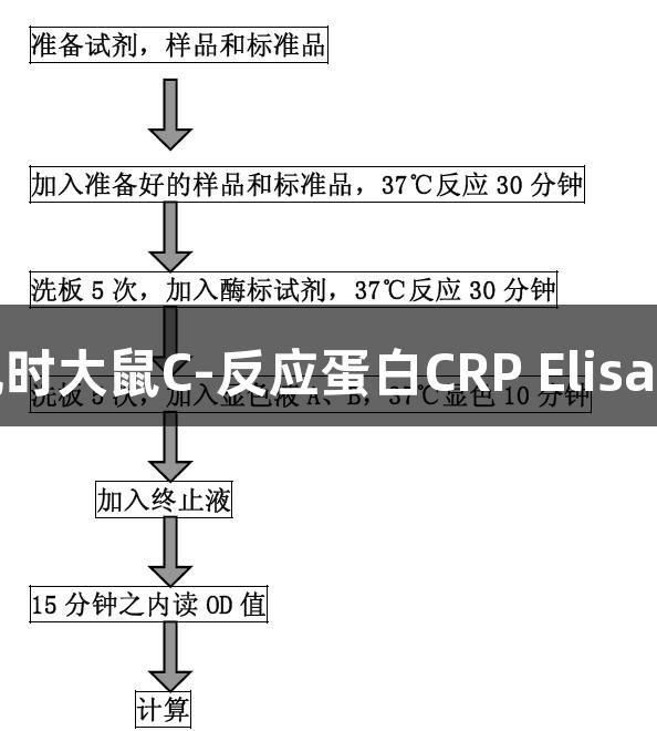尊龙凯时大鼠C-反应蛋白CRP Elisa试剂盒