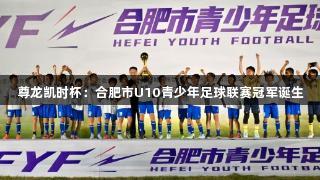 尊龙凯时杯：合肥市U10青少年足球联赛冠军诞生