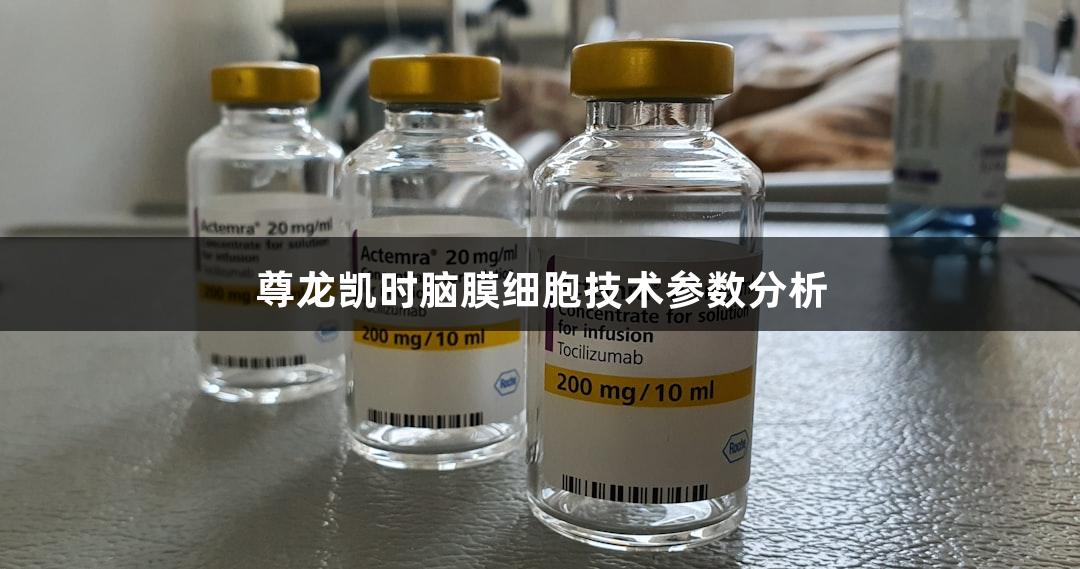 尊龙凯时脑膜细胞技术参数分析