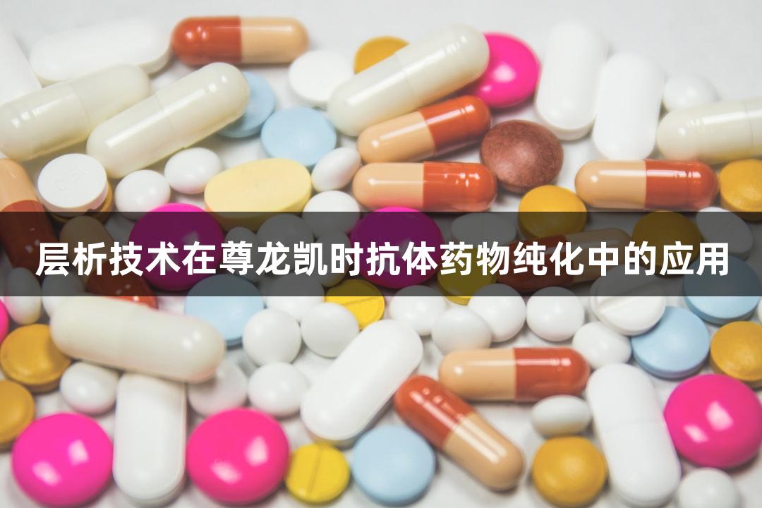 层析技术在尊龙凯时抗体药物纯化中的应用