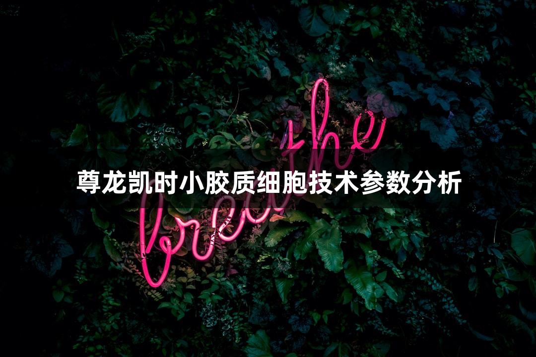 尊龙凯时小胶质细胞技术参数分析