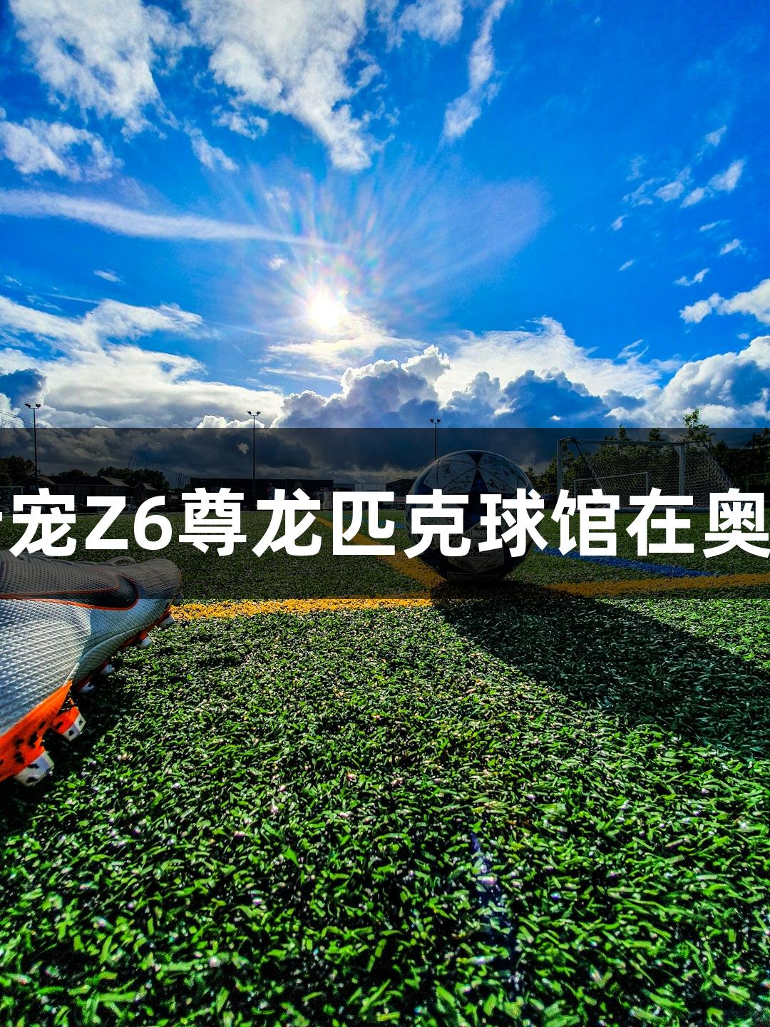 社交新宠Z6尊龙匹克球馆在奥体启用