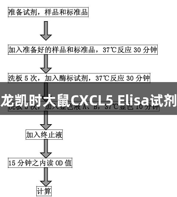 尊龙凯时大鼠CXCL5 Elisa试剂盒