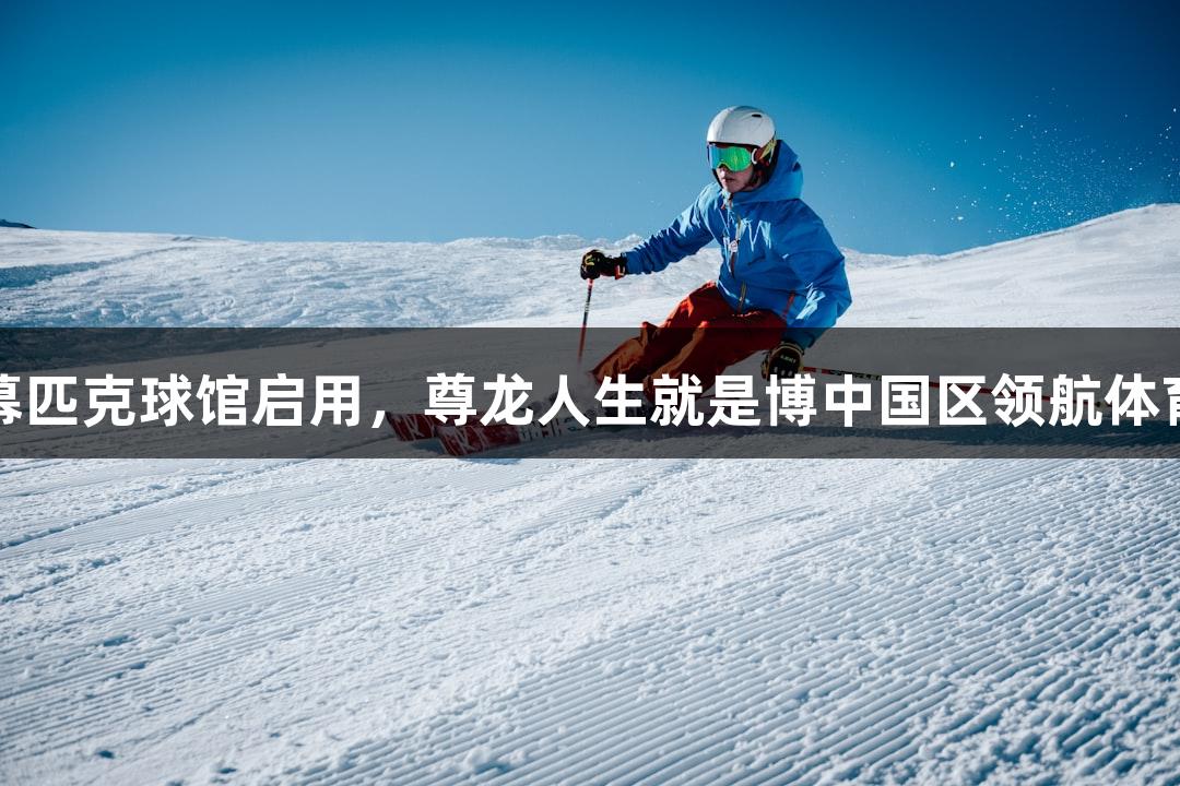 杭州天幕匹克球馆启用，尊龙人生就是博中国区领航体育新风潮