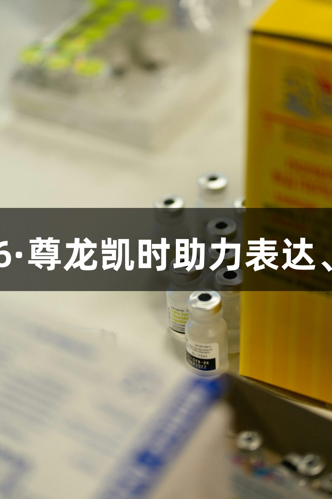 膜蛋白实验三步法：Z6·尊龙凯时助力表达、提取与纯化一次通关！
