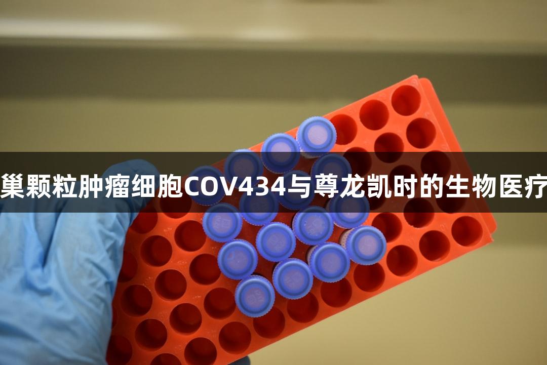 人卵巢颗粒肿瘤细胞COV434与尊龙凯时的生物医疗研究