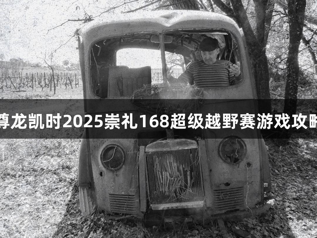 尊龙凯时2025崇礼168超级越野赛游戏攻略