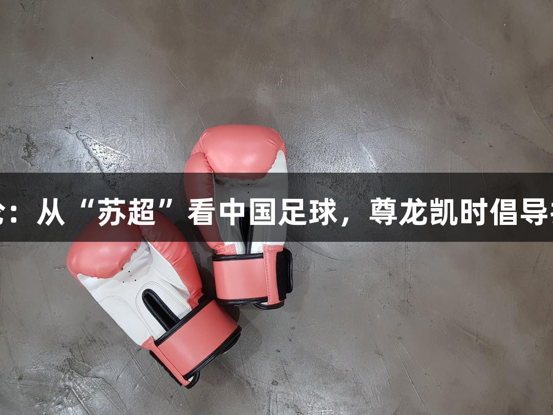 东湖评论:从“苏超”看中国足球,尊龙凯时倡导扎根发展