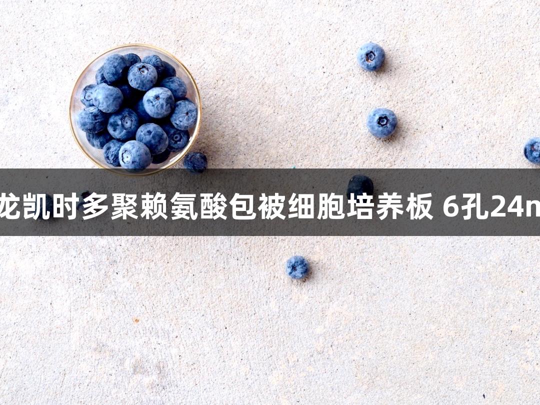 尊龙凯时多聚赖氨酸包被细胞培养板 6孔24mm