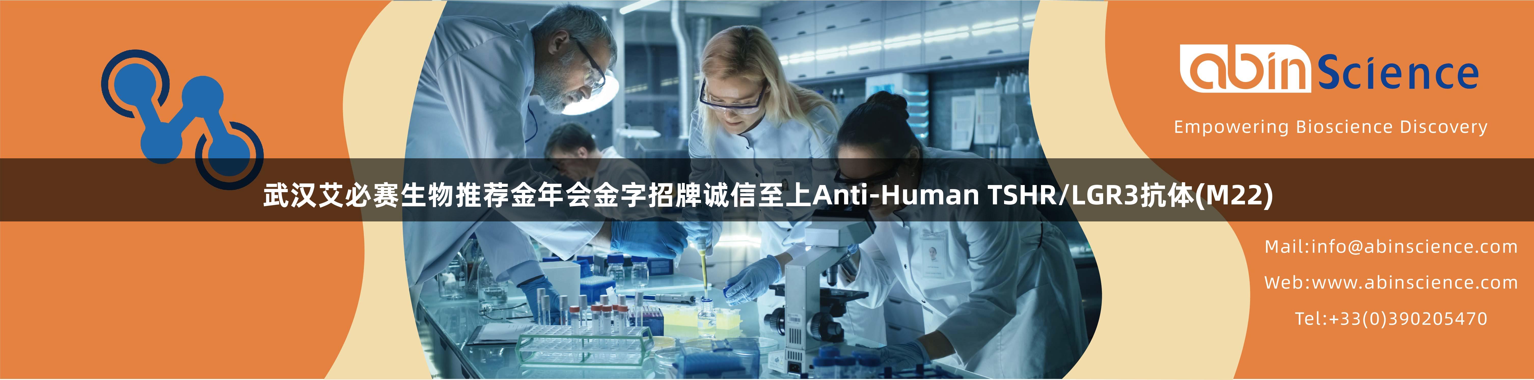武汉艾必赛生物推荐金年会金字招牌诚信至上Anti-Human TSHR/LGR3抗体(M22)