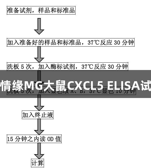 不朽情缘MG大鼠CXCL5 ELISA试剂盒